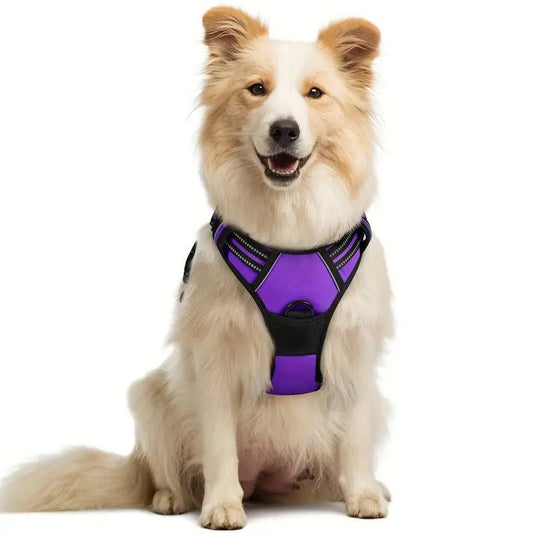 Reflective dog harness no pull on a happy dog, designed for comfort and control during walks.