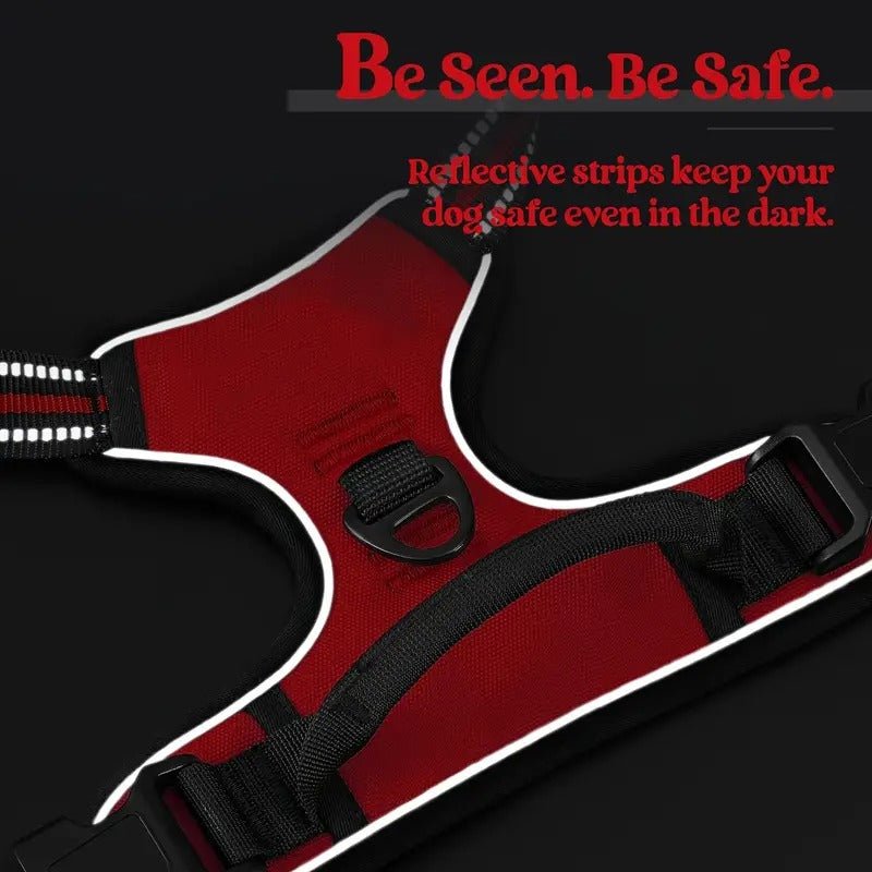 dog collar with handle