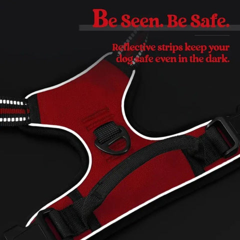 dog collar with handle