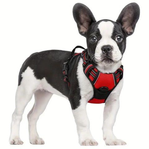 Reflective dog harness no pull on a French Bulldog, designed for comfort and control during walks.