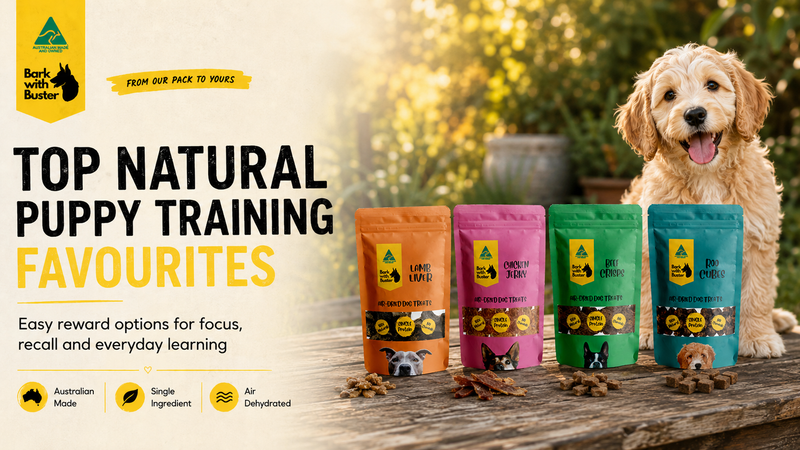 New natural dog treats Australia - fresh arrivals from Bark with Buster