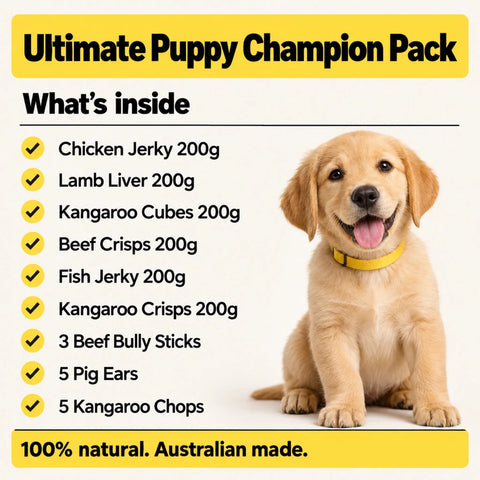 Ultimate Puppy Champion Pack - Bark with Buster