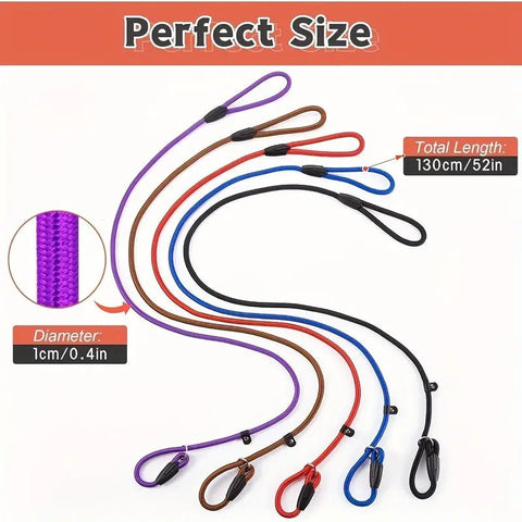 Slip Lead Dog Leashes