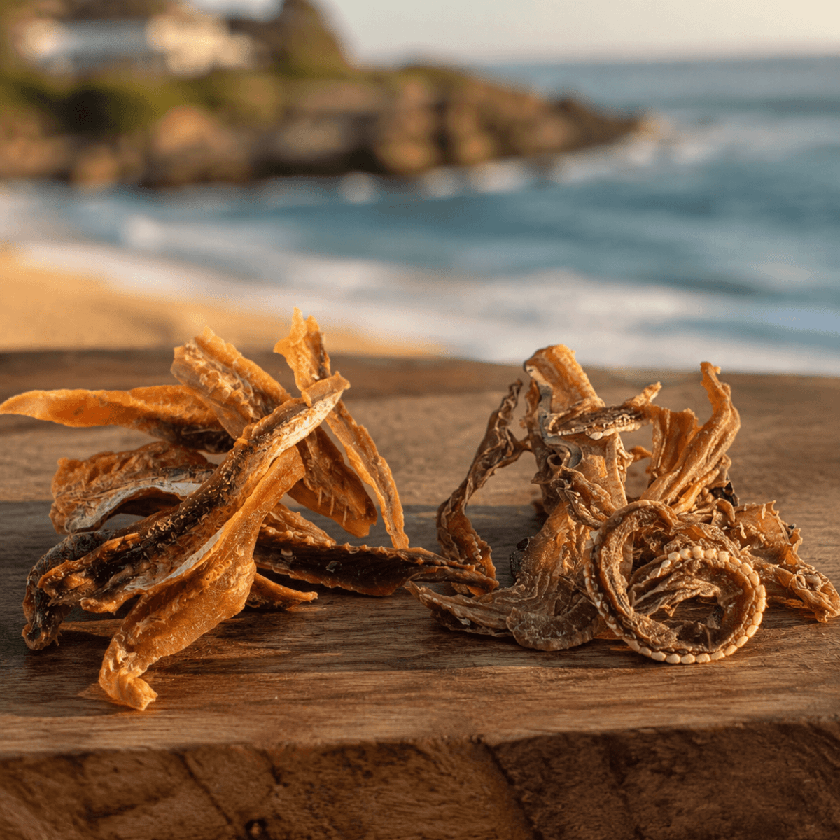 Wholesale Fish Jerky - Bark with Buster